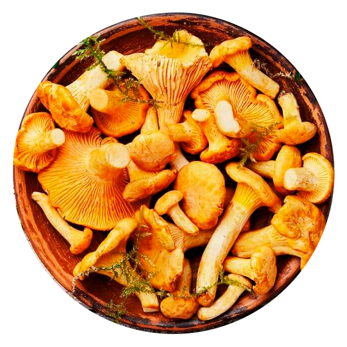 Сушёные грибы